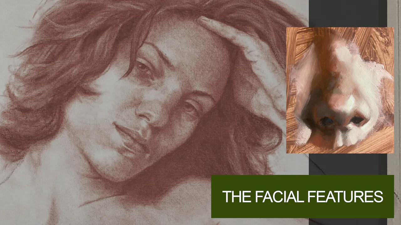 The Facial Features