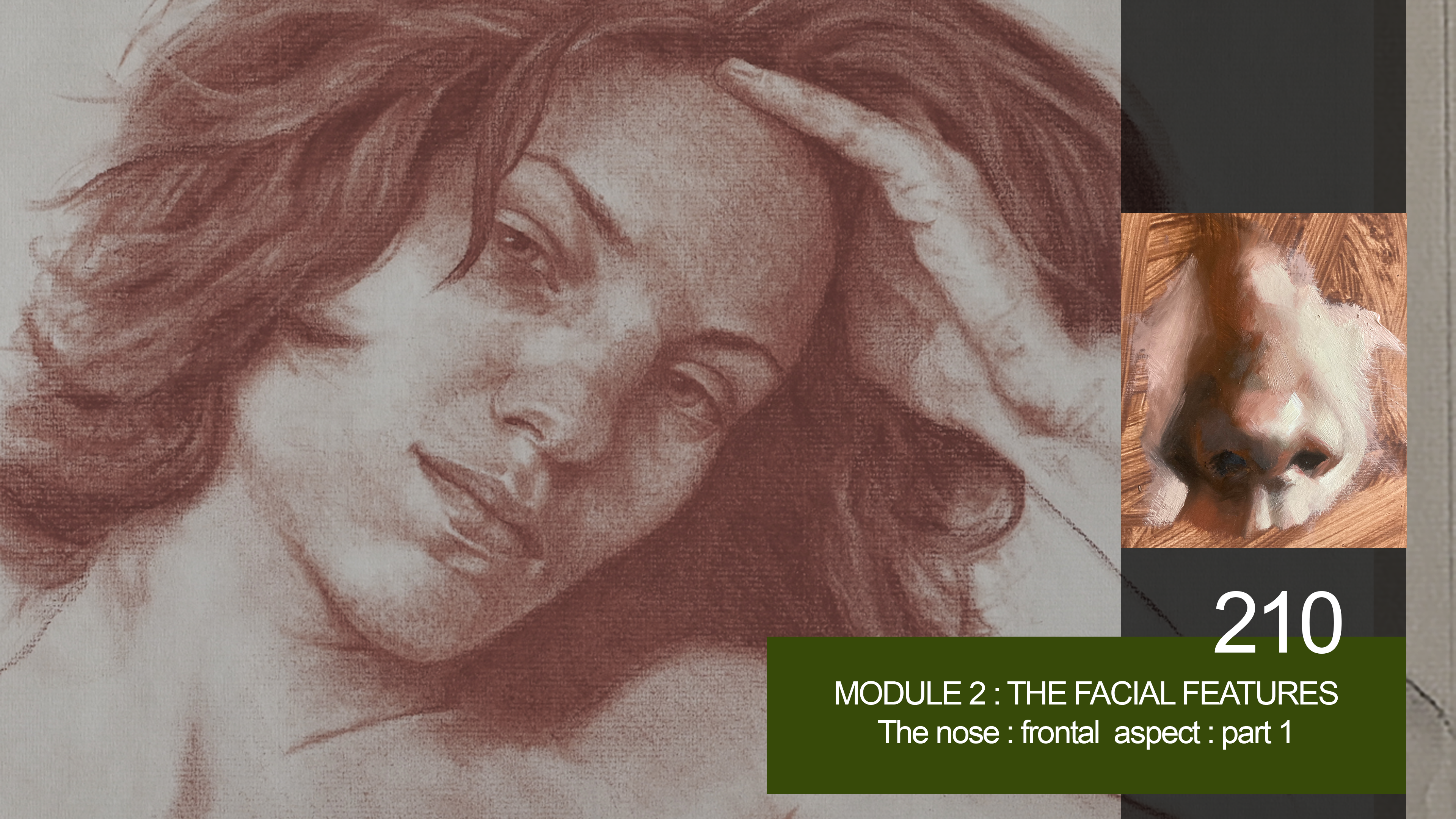 210-MODULE-2-FACIAL-FEATURES-The-Nose-Frontal-Part-1