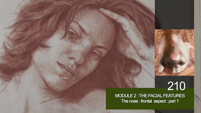 210-MODULE-2-FACIAL-FEATURES-The-Nose...