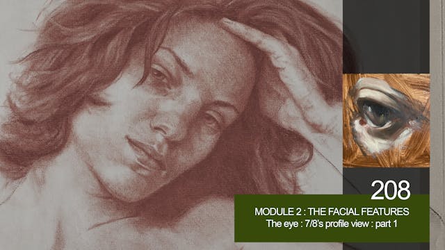 208-MODULE-2-FACIAL-FEATURES-The-Eye-...