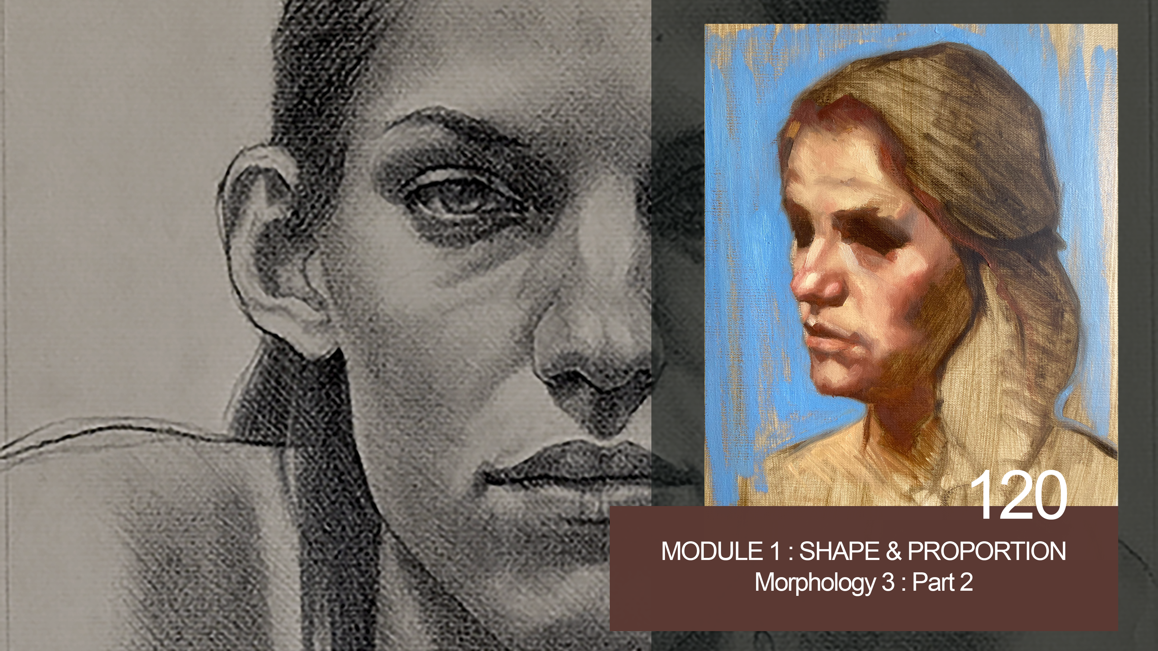 120-MODULE-1-SHAPE-and-PROPORTION-morphology-3-part-2