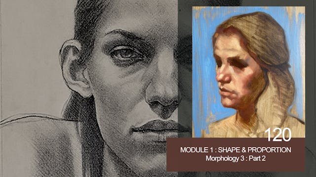 120-MODULE-1-SHAPE-and-PROPORTION-mor...