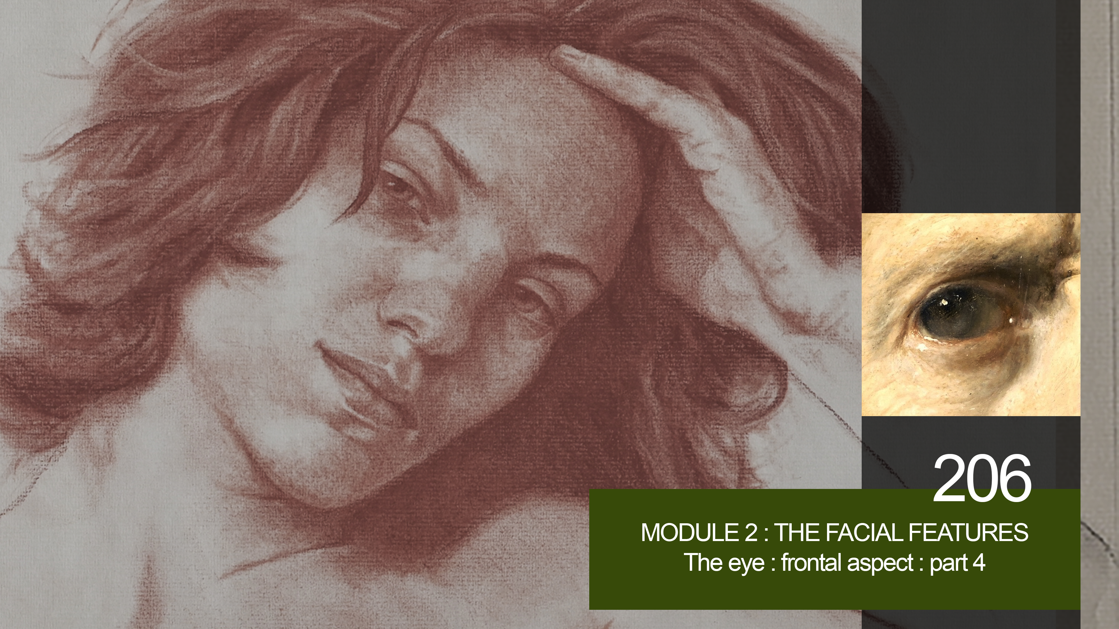 206-MODULE-2-FACIAL-FEATURES-The-Eye-Frontal-Part-4