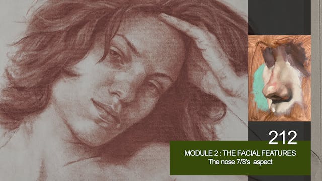 212-MODULE-2-FACIAL-FEATURES-The-Nose...