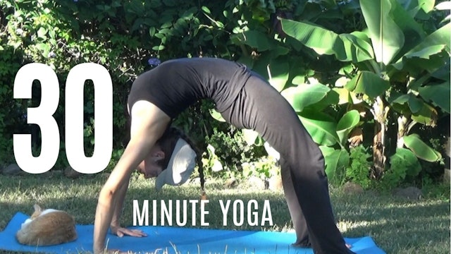 30 Minute Yoga to Lengthen & Strengthen - Yoga with Christa