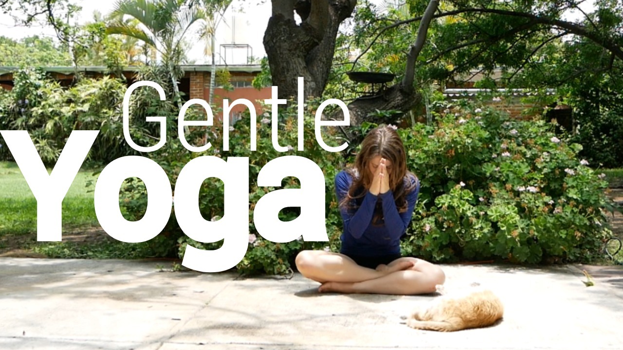 Gentle Yoga for Everyone - All Levels Welcome