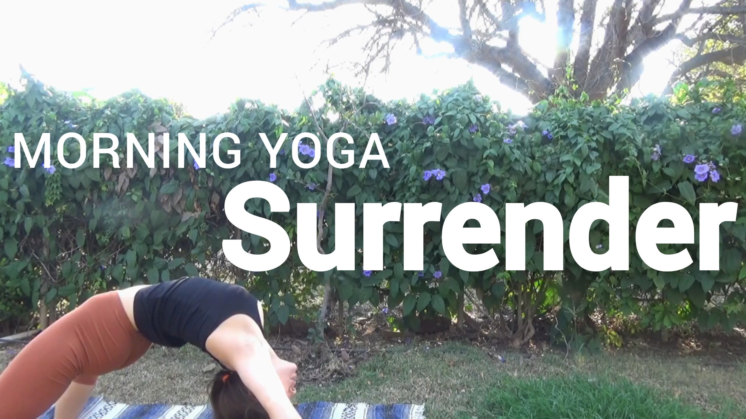 Morning Yoga: Surrender