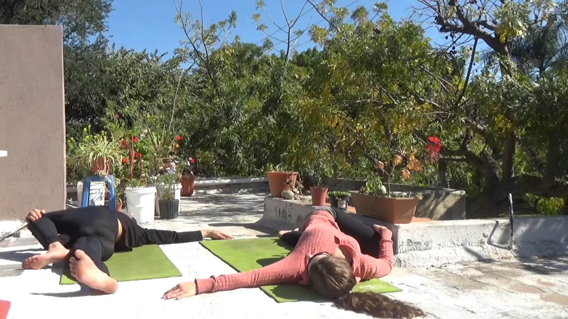 20 Minute Yoga with Gerald and Christa Clark | Stretch & Tone