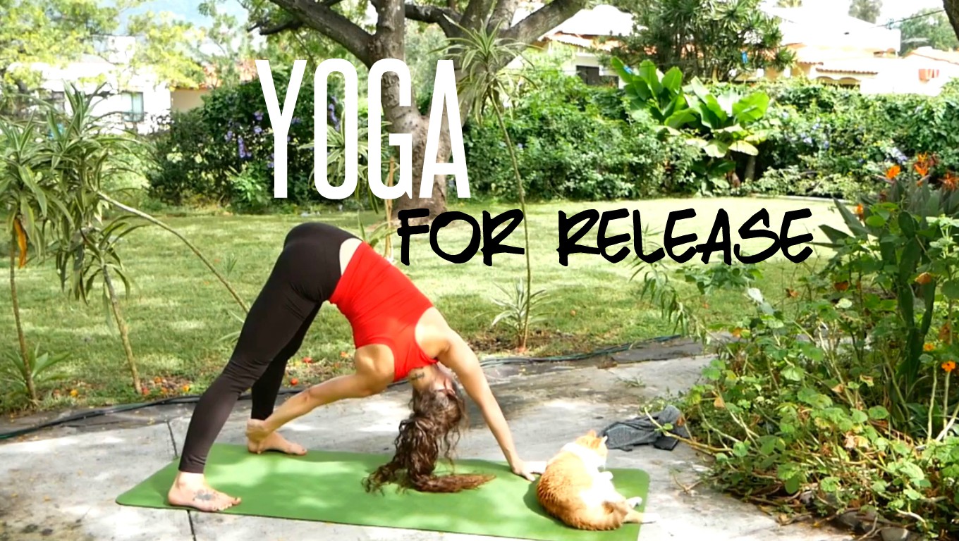 Yoga for Release & Letting Go (45 Minute Class - All Levels)