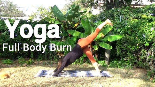 Full Body Burn in 20 Minutes