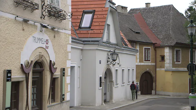 Bezirksgeschichte Wien Döbling