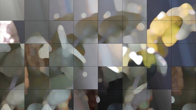 Luminosity - with grid [detail]