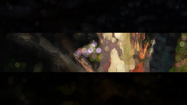 Environmental Art + Design - Tree Litmus