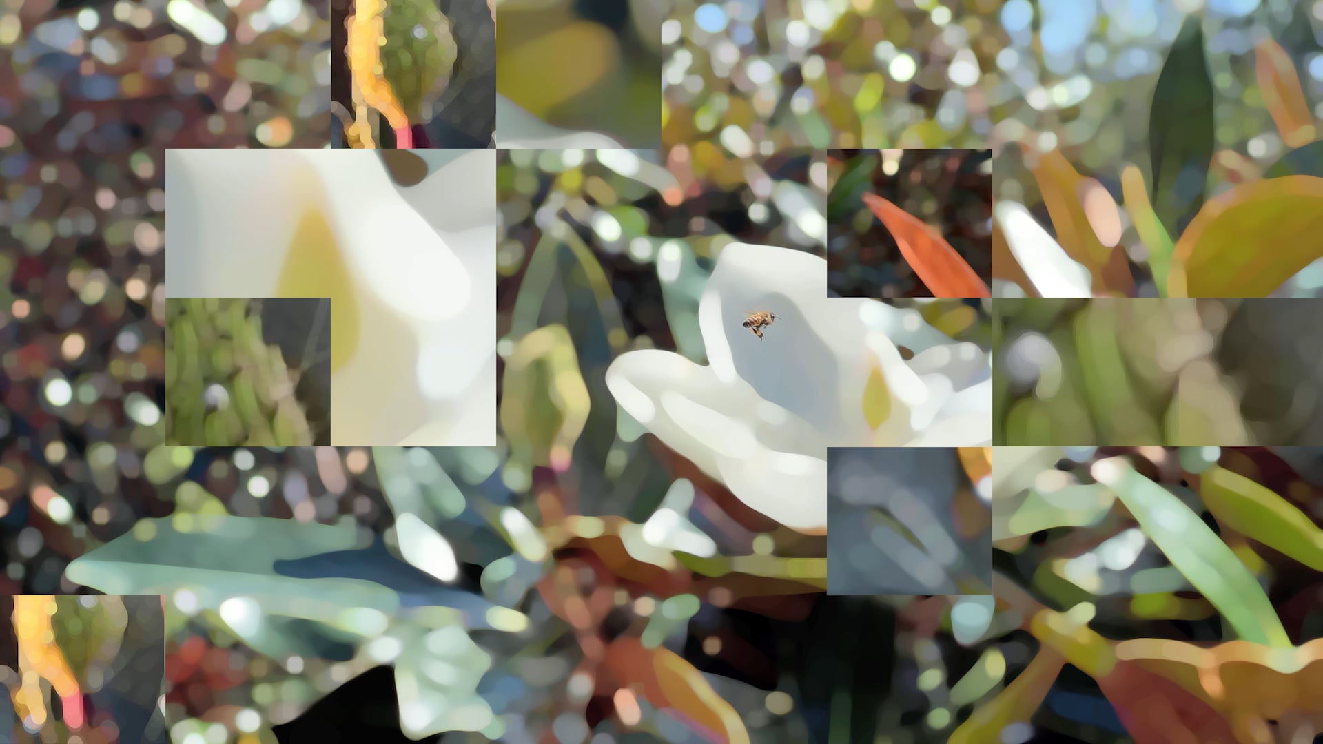 Biophilia DRAFT - Middle screen stills and animation test