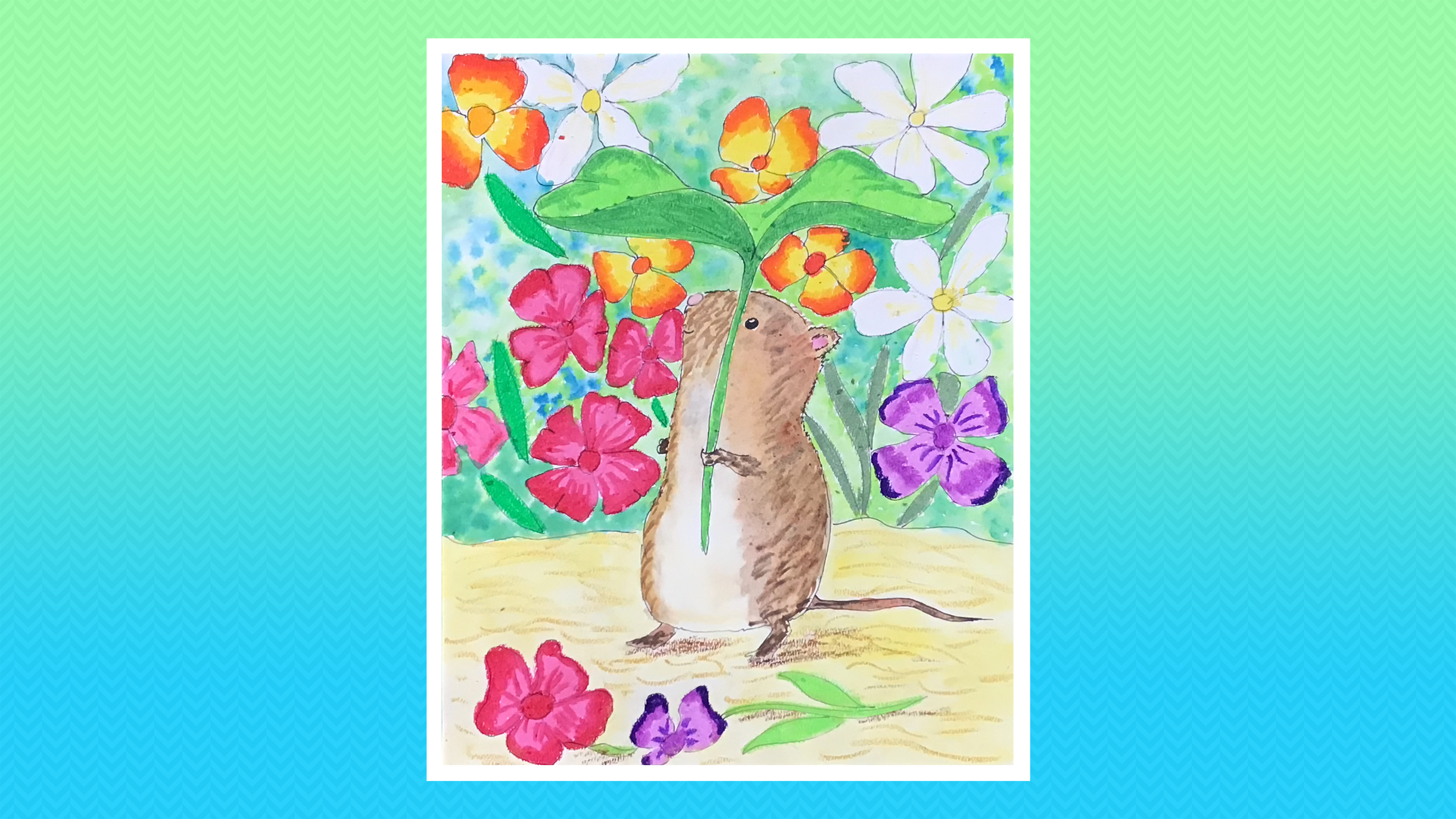 Timmy Willie - Grades K-2