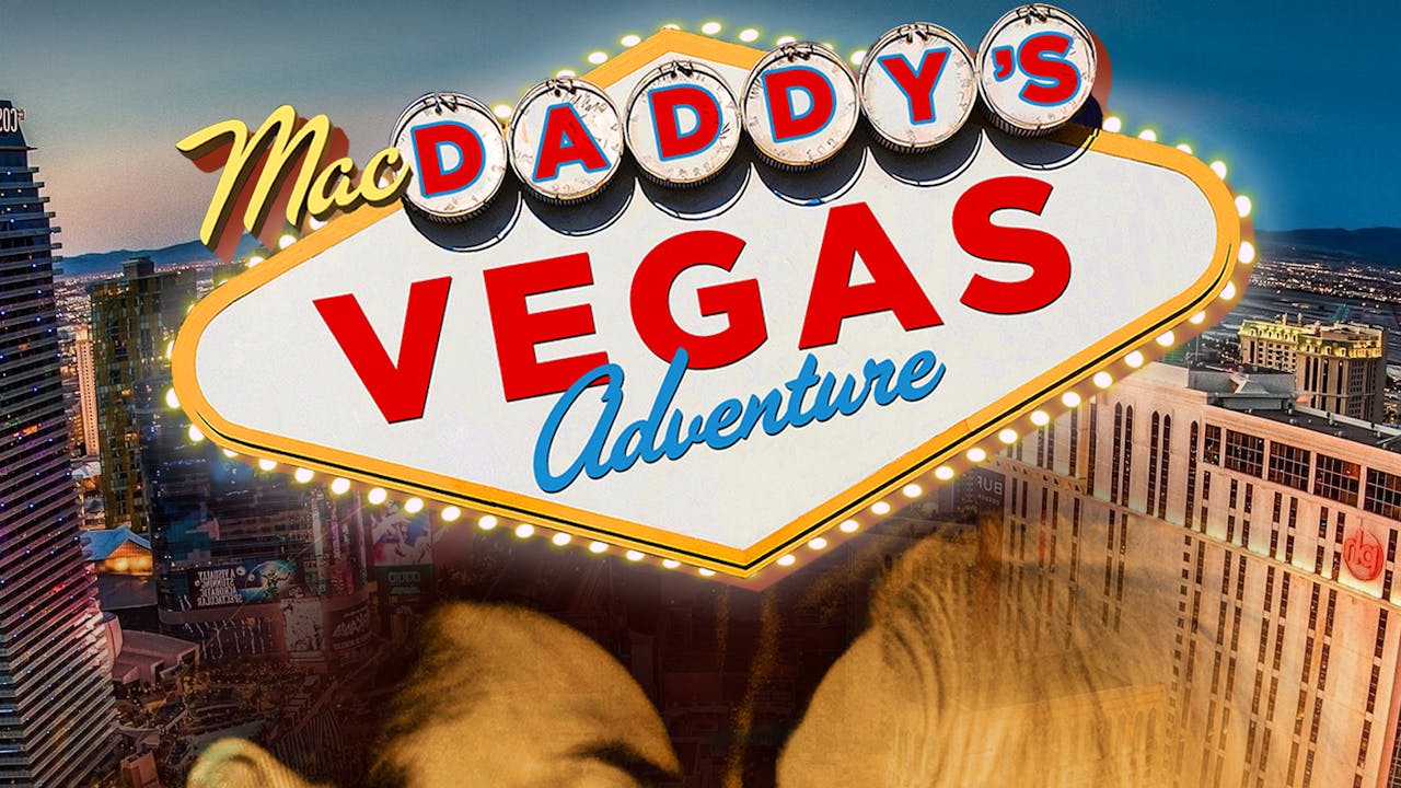 MAC DADDY'S VEGAS ADVENTURE
