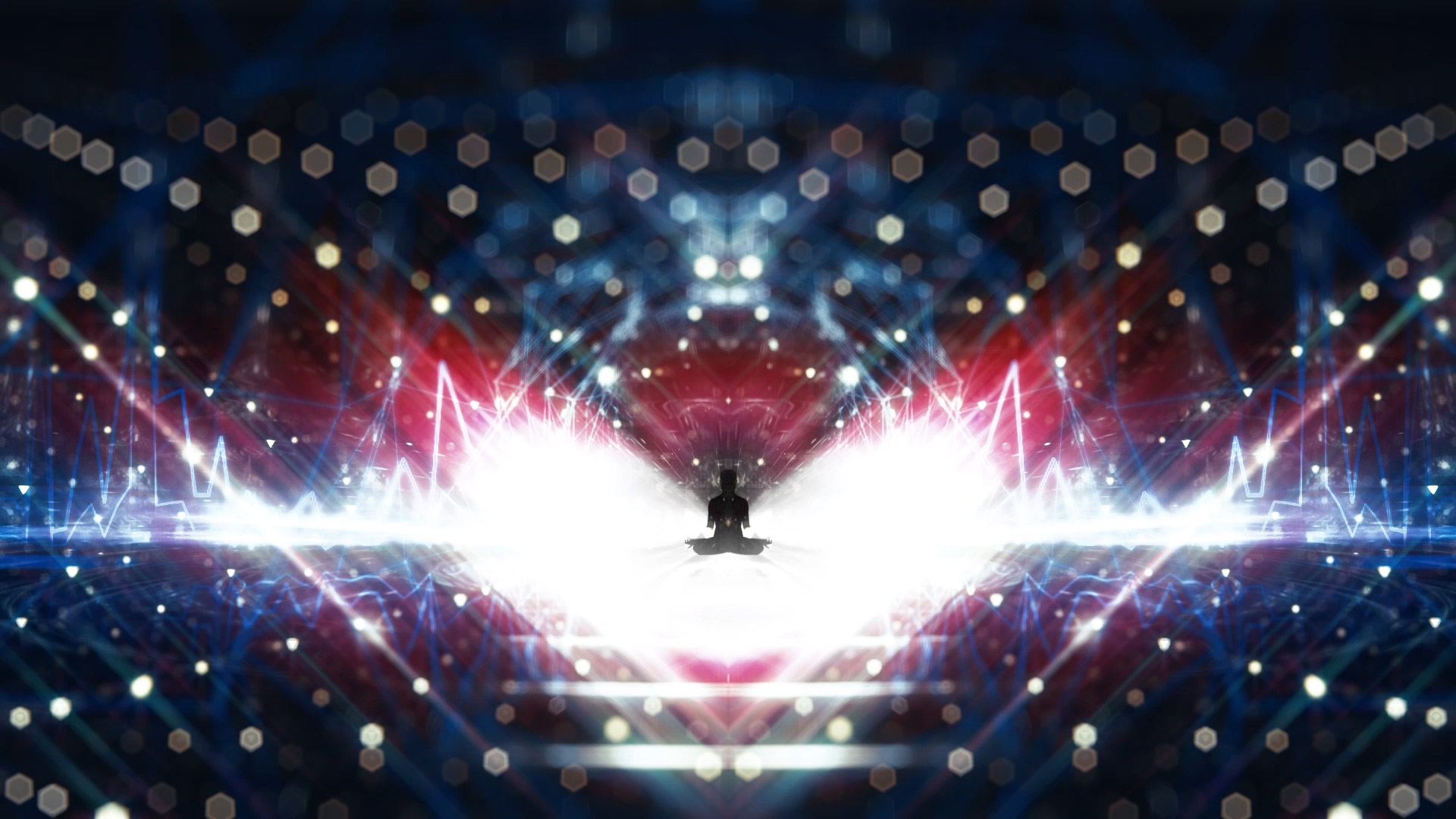 Bufo Alvarius -The Underground Secret | German