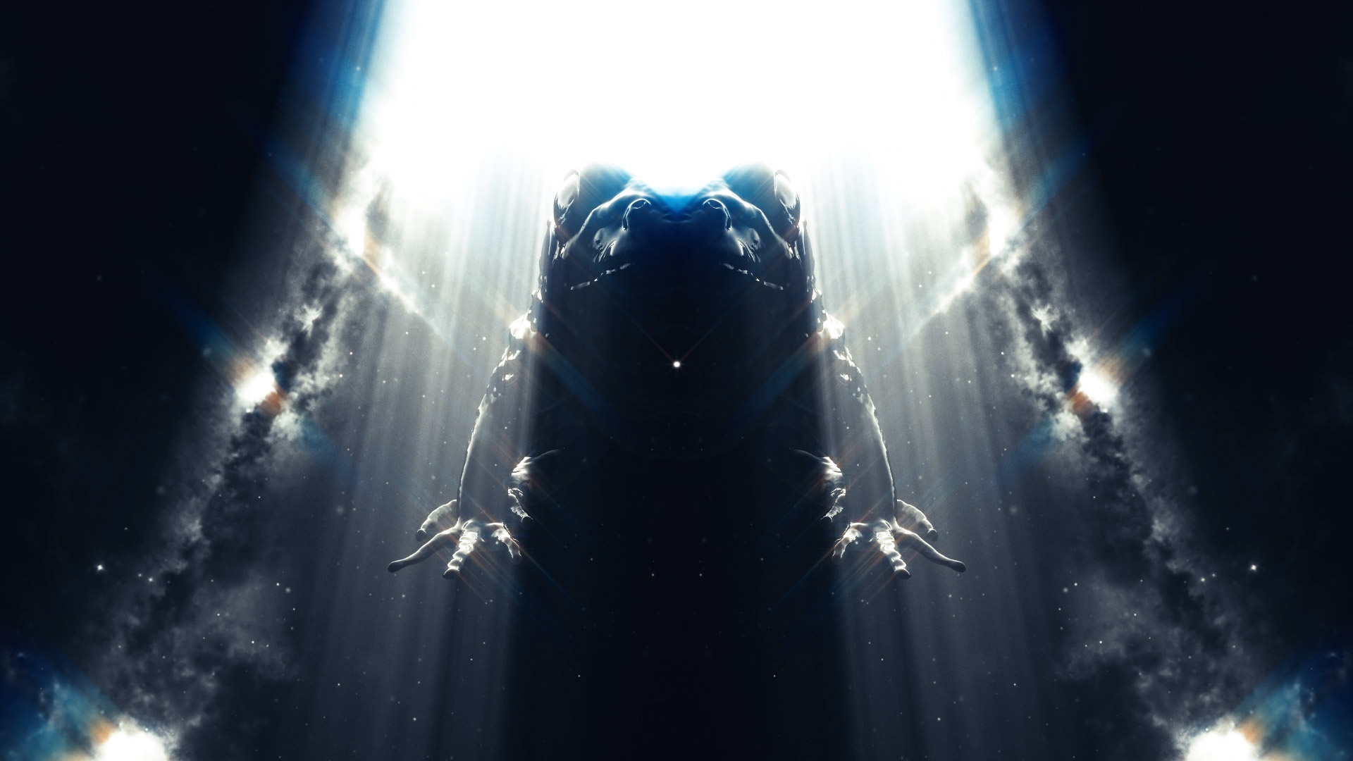 Bufo Alvarius -The Underground Secret Trailer | German