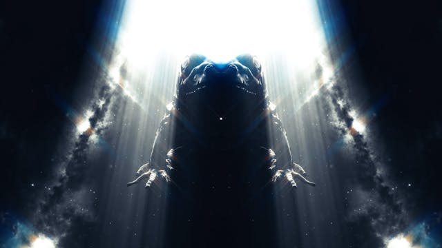 Bufo Alvarius -The Underground Secret...