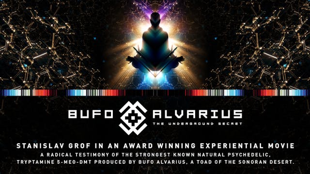Bufo Alvarius - The Underground Secret | EIC