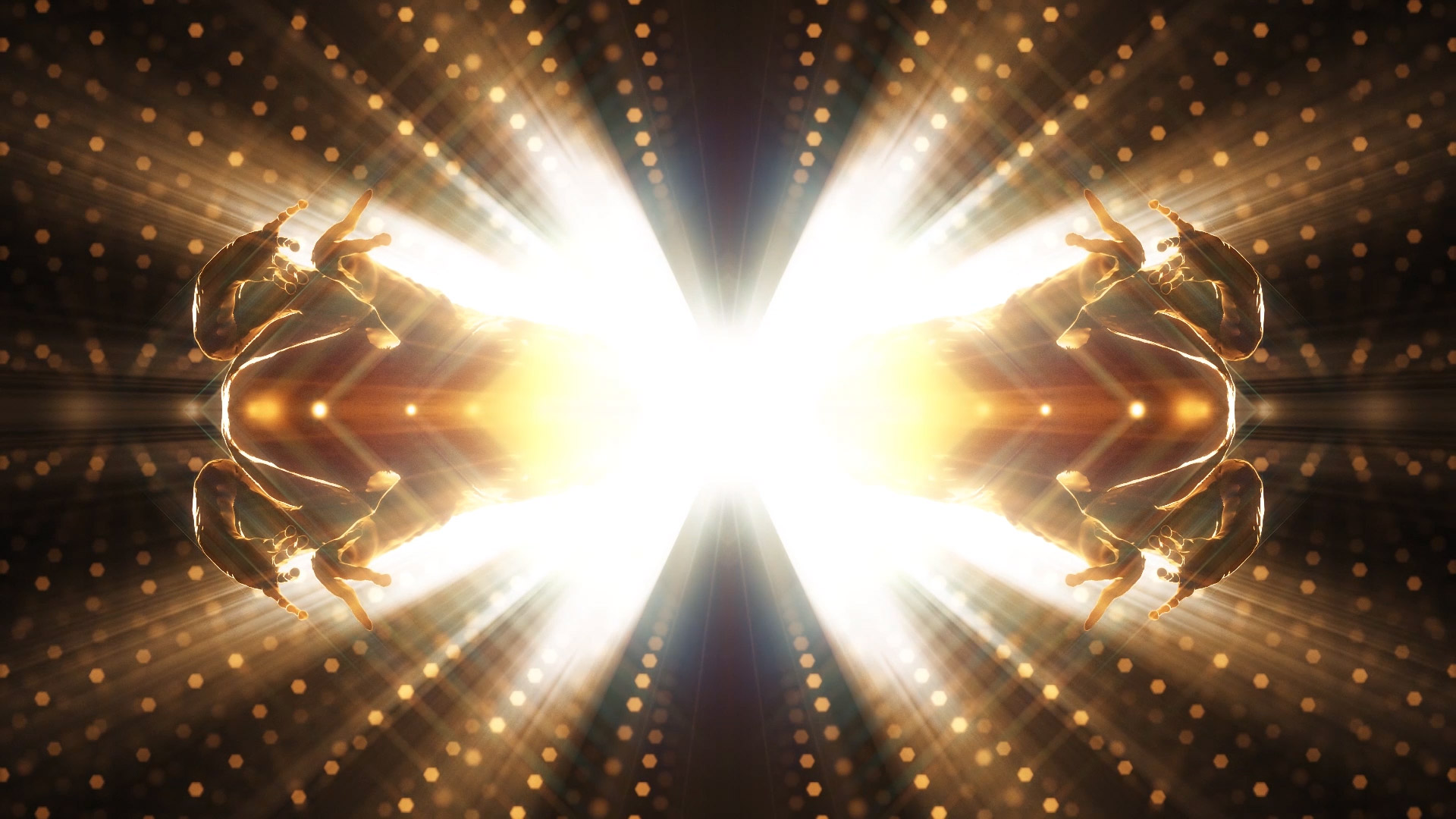 Bufo Alvarius The Underground Secret Trailer | Polish