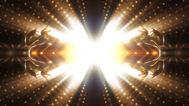 Bufo Alvarius The Underground Secret ...