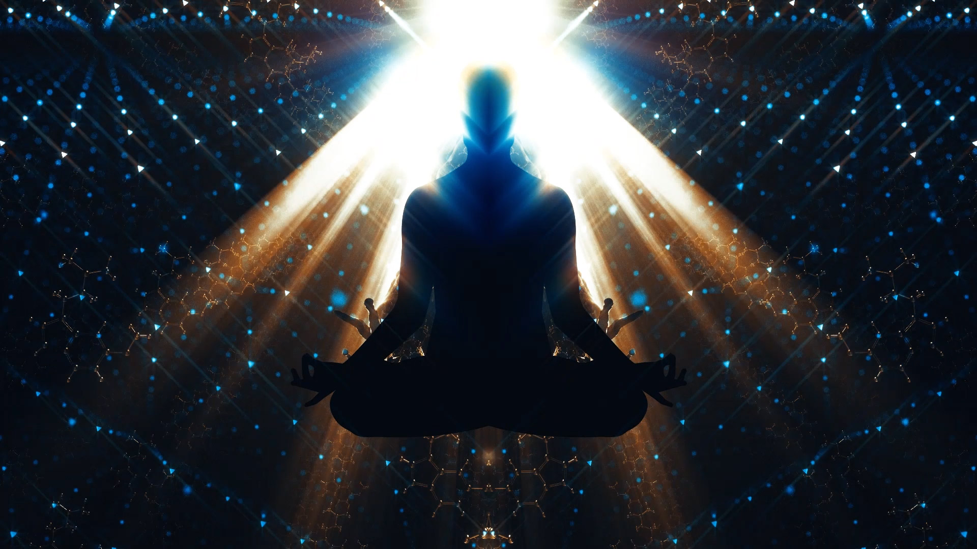 Bufo Alvarius - The Underground Secret Trailer I English