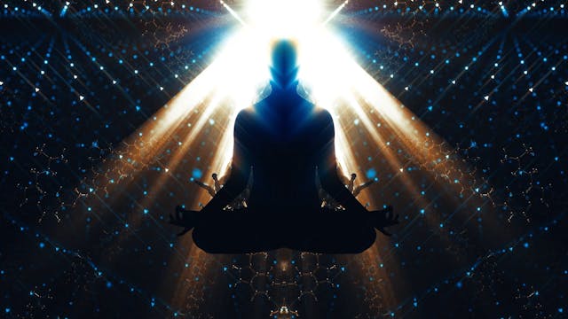 Bufo Alvarius - The Underground Secre...