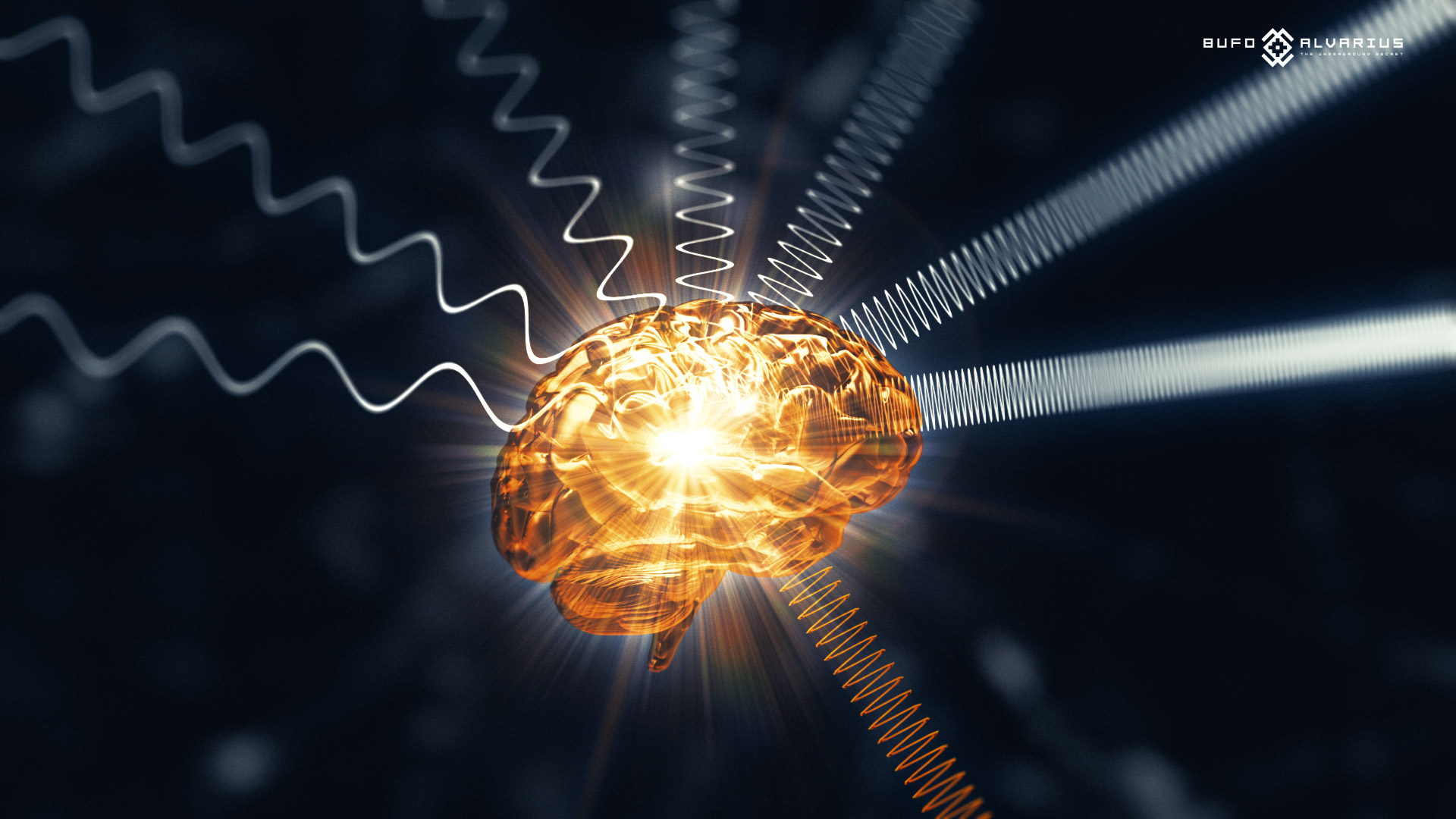 Bufo_alvarius_reviews.pdf