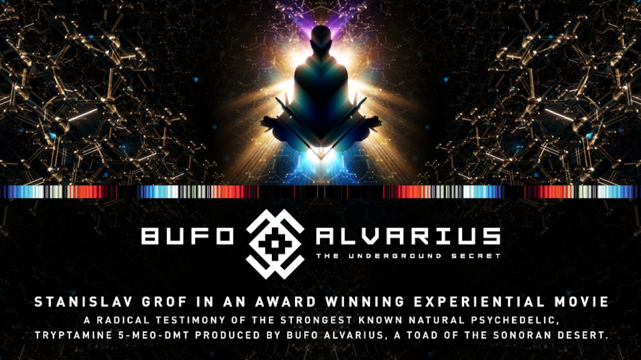 Bufo Alvarius - The Underground Secret 
