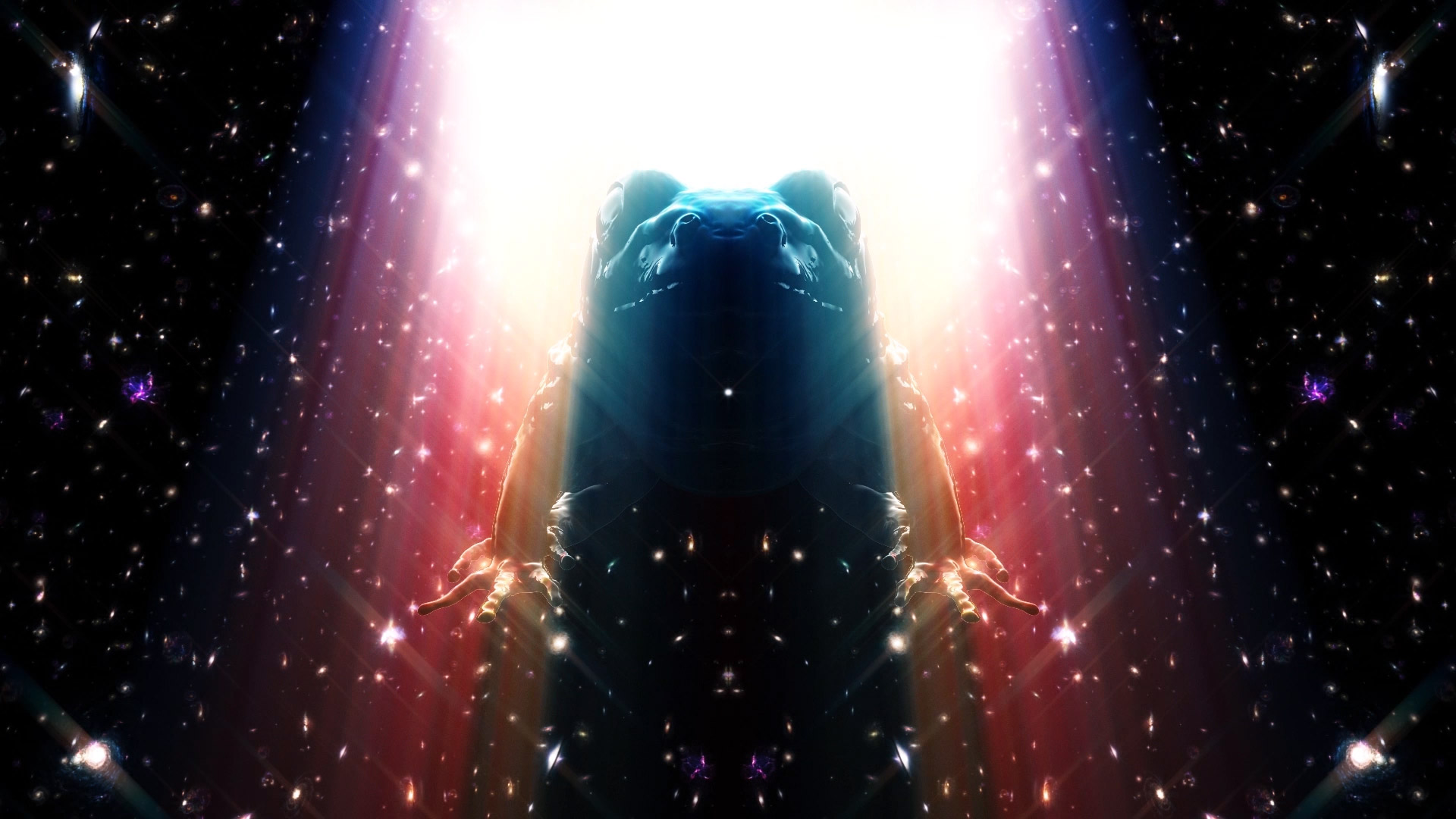 Bufo Alvarius - The Underground Secret Trailer | Textless