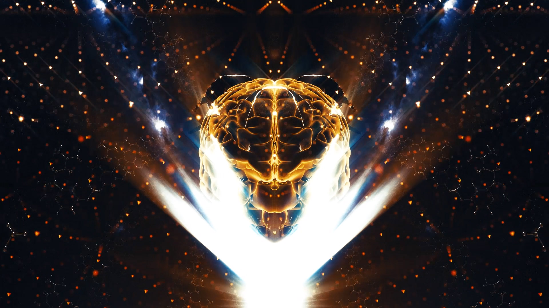 Bufo Alvarius -The Underground Secret | Polish