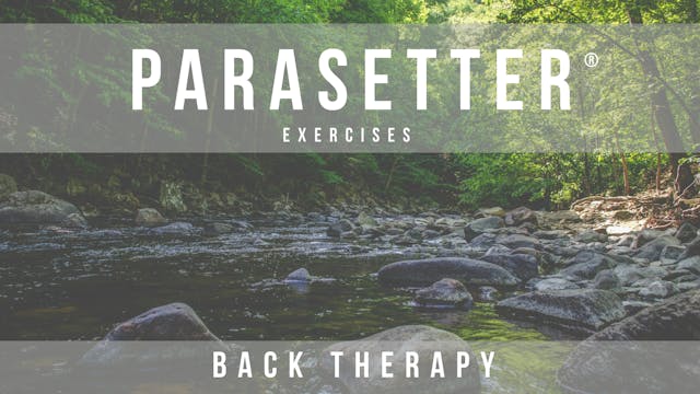 Parasetter - Back Exercises