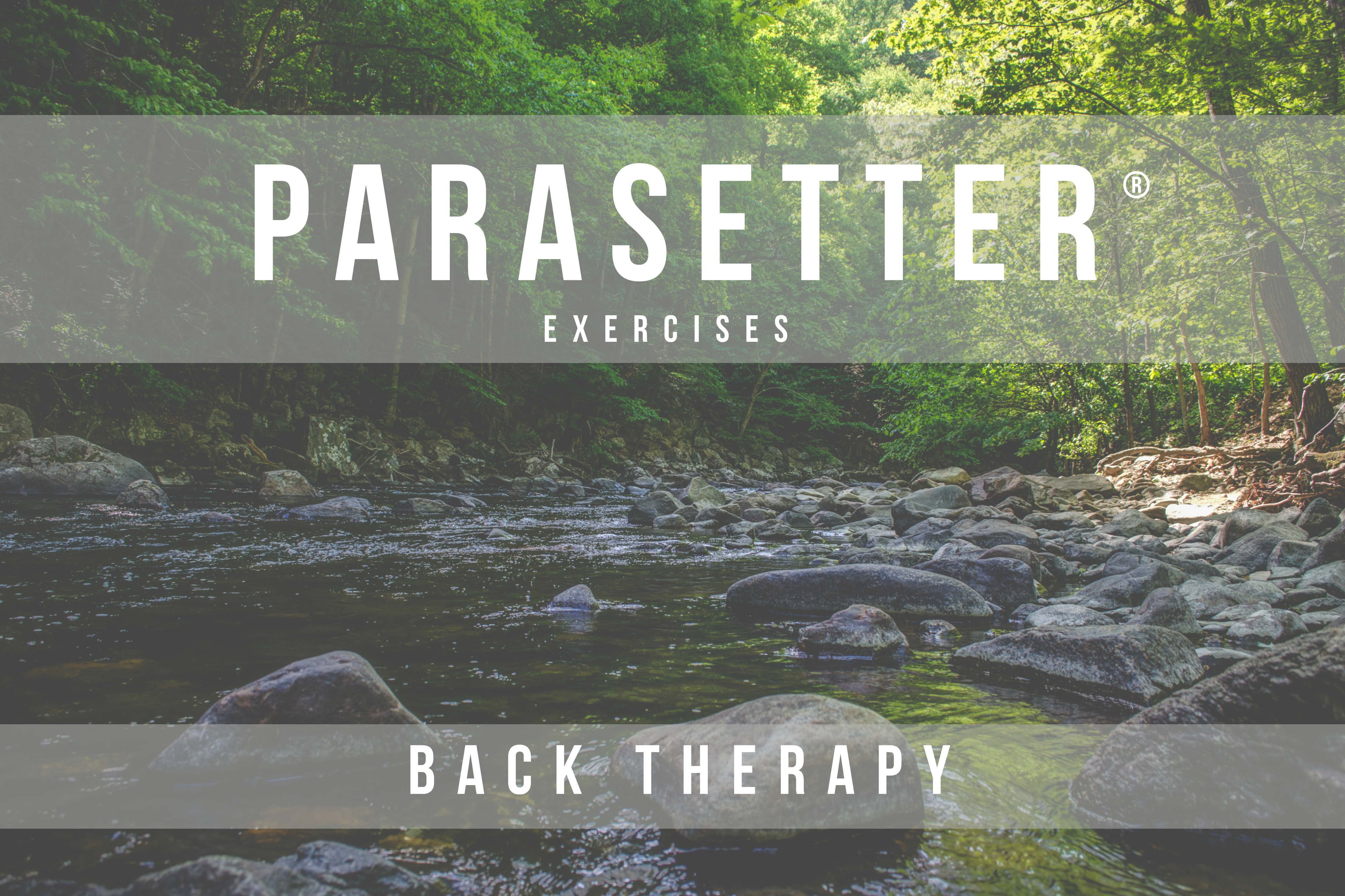 PARASETTER® - BACK RECOVERY 