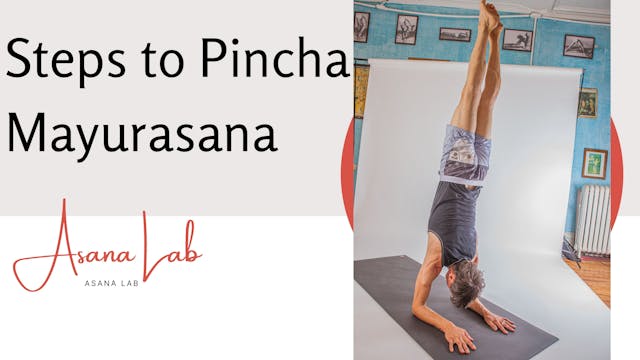 Steps to Pincha Mayurasana