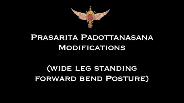 Prasarita Padottanasana Modification ...