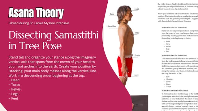 Dissecting Samastithi in Tree Pose