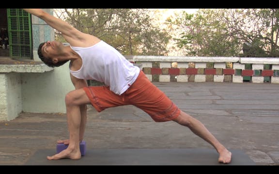 Utthita Parsvakonasana Modification (...