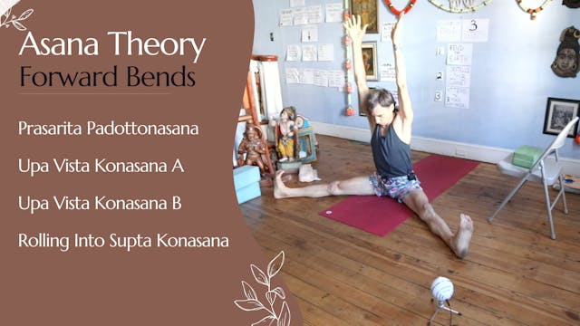 Asana Theory: Forward Bend Technique