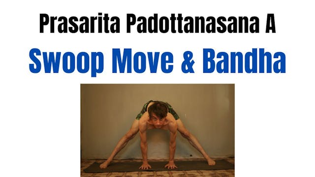 Prasarita Padottonasana A - Swoop Mov...