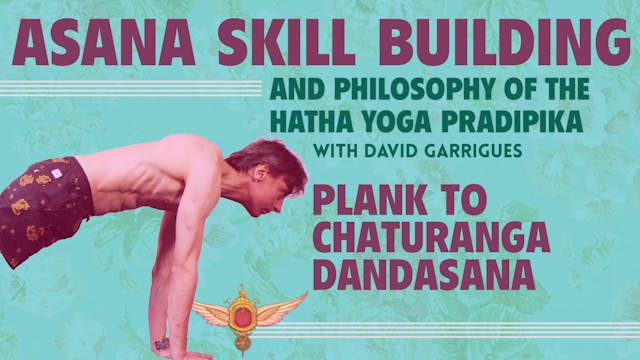 Plank to Chaturanga Dandasana