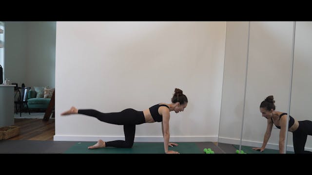 Slow and Controlled Glutes - No Props