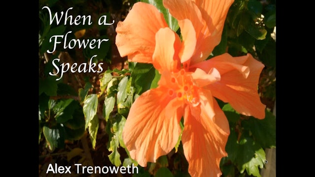 When a Flower Speaks, with Alex Trenoweth