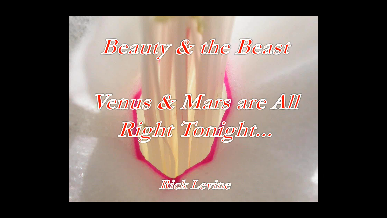 Venus and Mars Are Alright Tonight, with Rick Levine