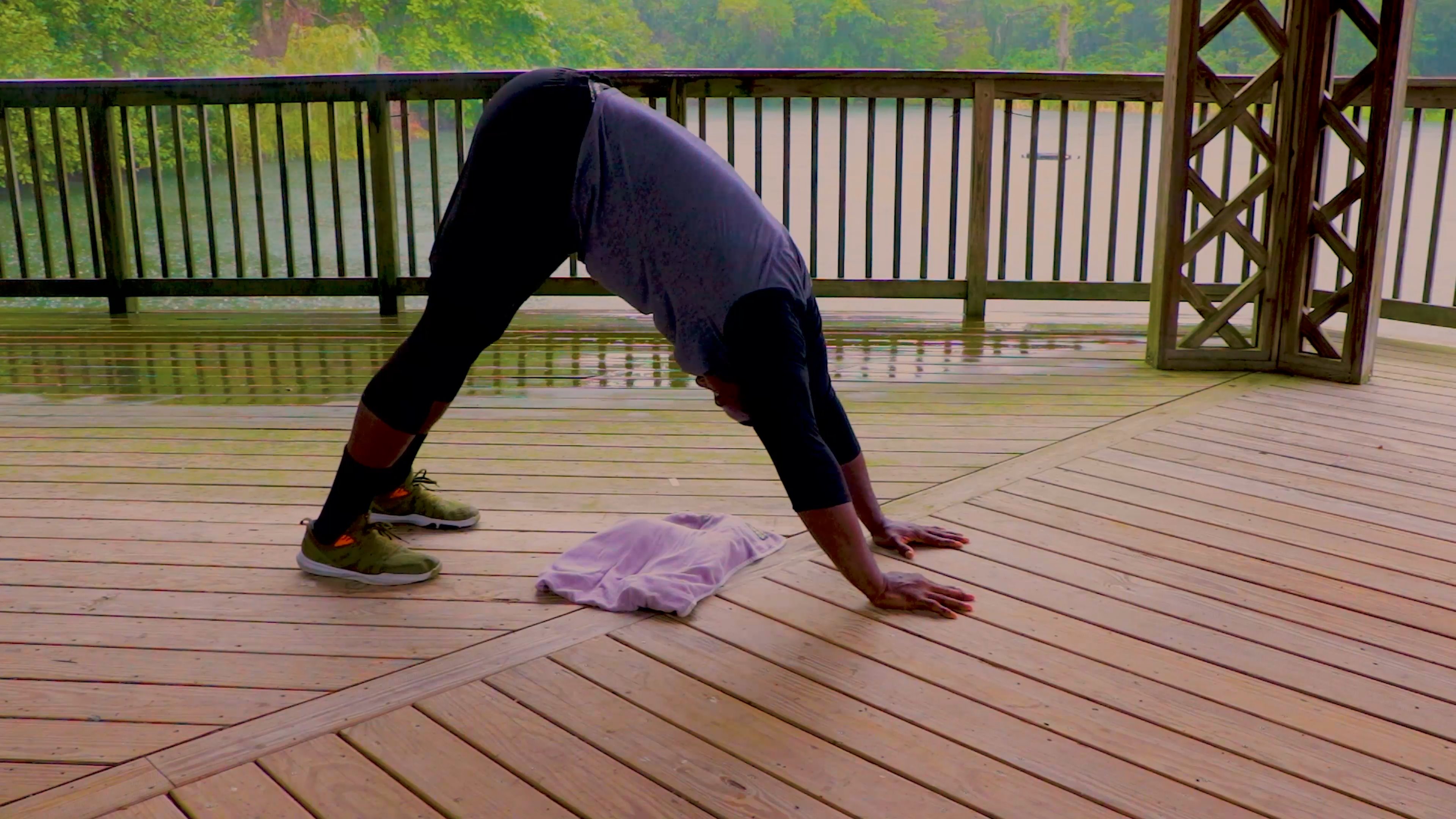 Downward Dog from Quadruped