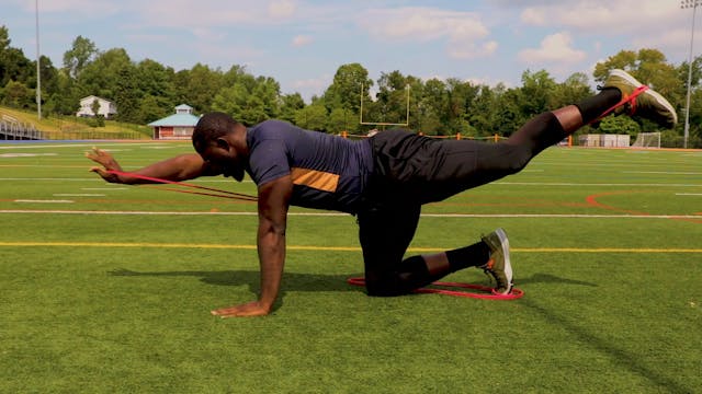 Quadruped Band Opposite Arm Leg Raise