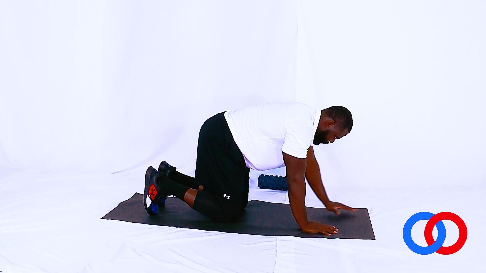 Bird Dog - Opposite Arm and Leg Lift