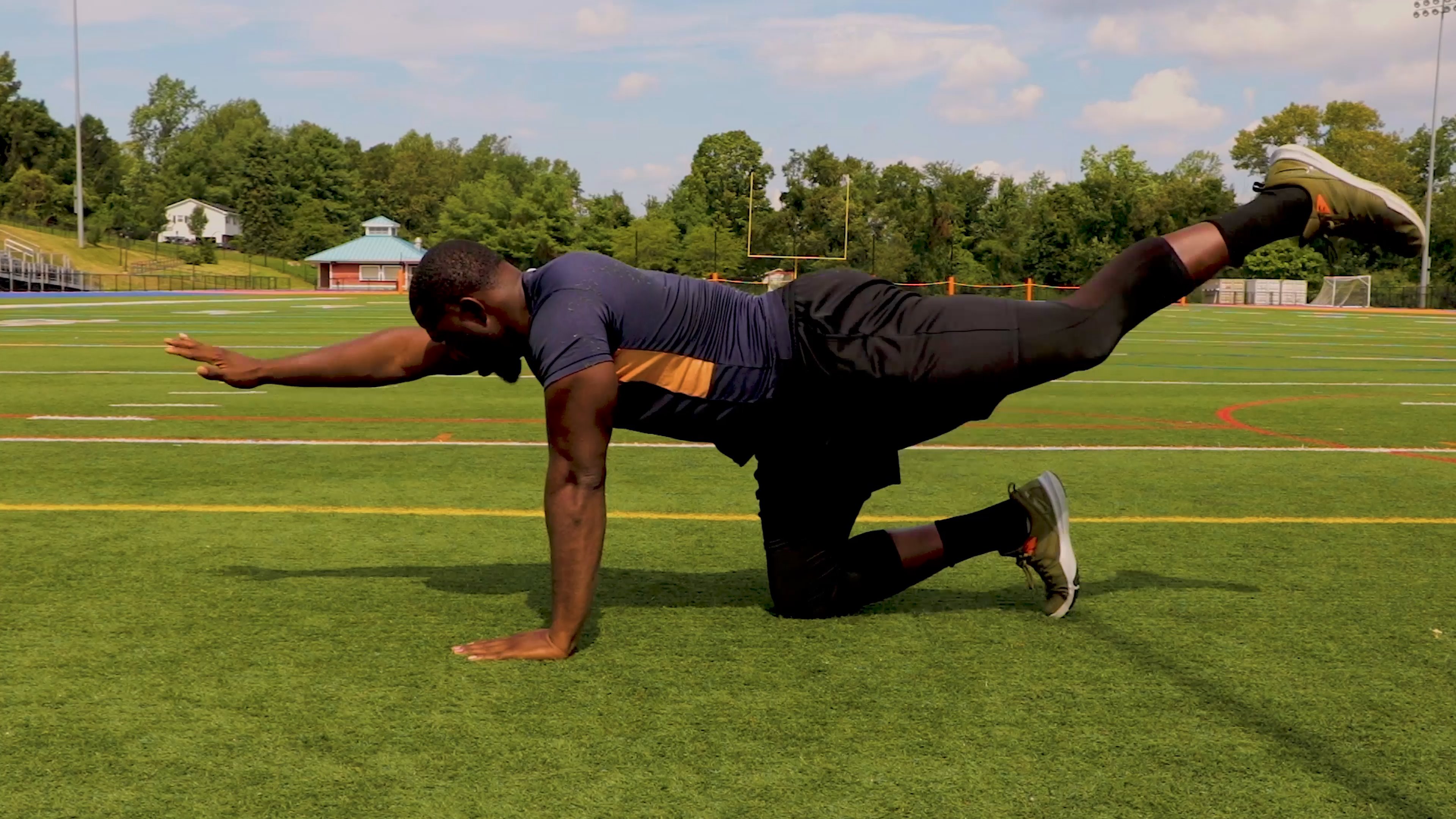 Quadruped Opp Arm leg Raise