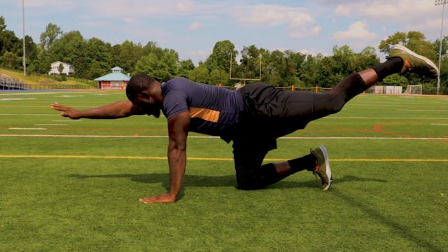 Quadruped Opp Arm leg Raise