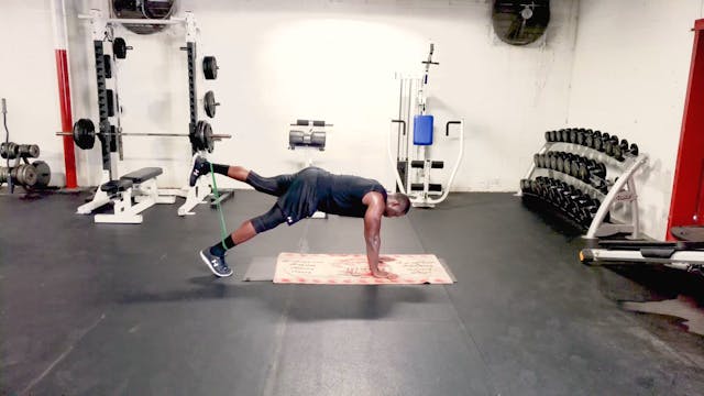 Plank w Leg Raise